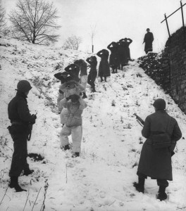 1 er armee us transfert prisonnier ardennes 1945