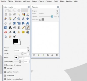 gimp