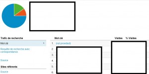 Les utilisateurs Not Provided de Google Analytics.