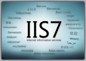 logo ouverture iis