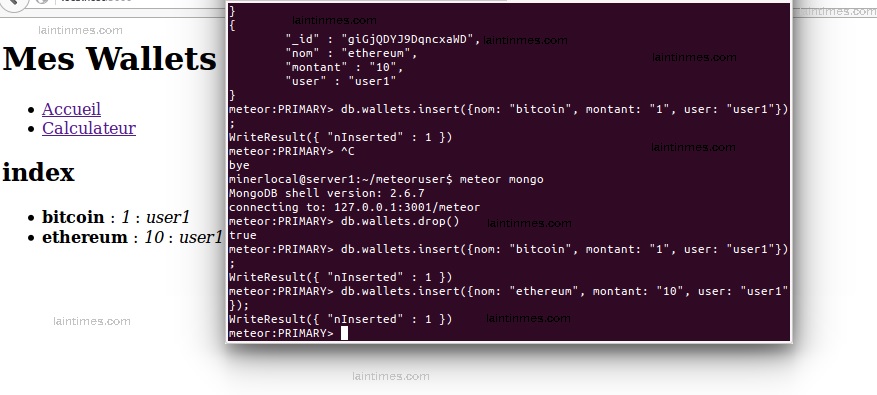 4 affichage wallets meteor mongodb