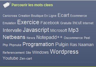 Modifier la tailles des tags dans vos Nuage de mots-clés sous WordPress